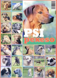 Pexeso Psy 2 (hnedý pes)